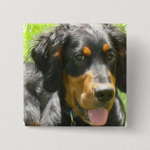 Gordon Setter Dog Pin Vierkante Button 5,1 Cm