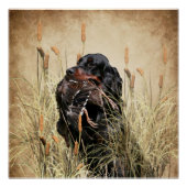 Gordon Setter , Duck jagende Tapestry Perfect Poster (Voorkant)