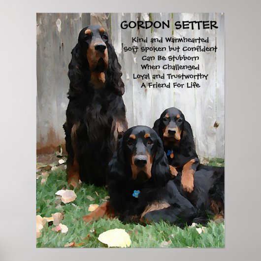 Gordon Setter, een Poster voor het schilderen van (Voorkant)
