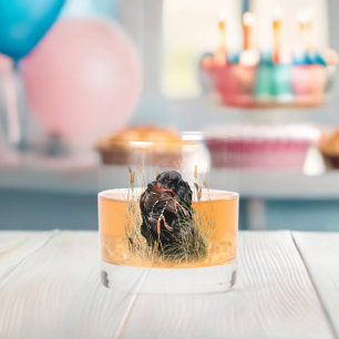 Gordon Setter, Eendenjacht Whisky Glas