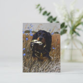 Gordon Setter Feestdagenkaart (Staand voorkant)