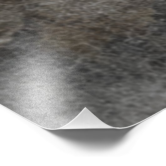 Gordon Setter Foto Afdruk (Hoek)