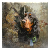 Gordon Setter Foto Afdruk (Voorkant)