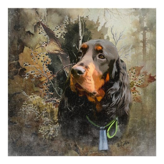 Gordon Setter Foto Afdruk (Voorkant)