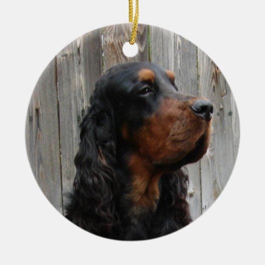 Gordon Setter Foto Ornament (Voorkant)