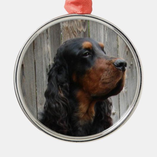 Gordon Setter Foto Ornament (Voorkant)