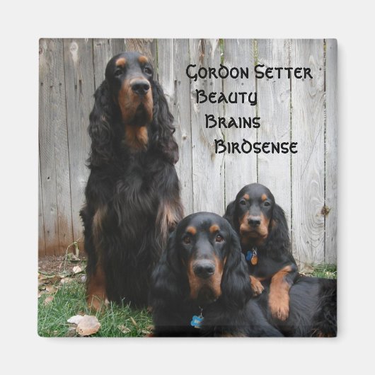Gordon Setter Generaties Magneet (Voorkant)