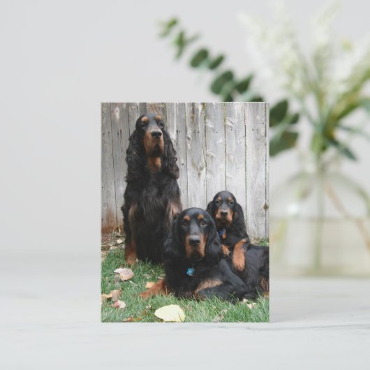 Gordon Setter Generations Briefkaart (Staand voorkant)