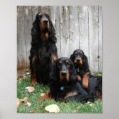 Gordon Setter Generations Canvas afdrukken Poster (Voorkant)