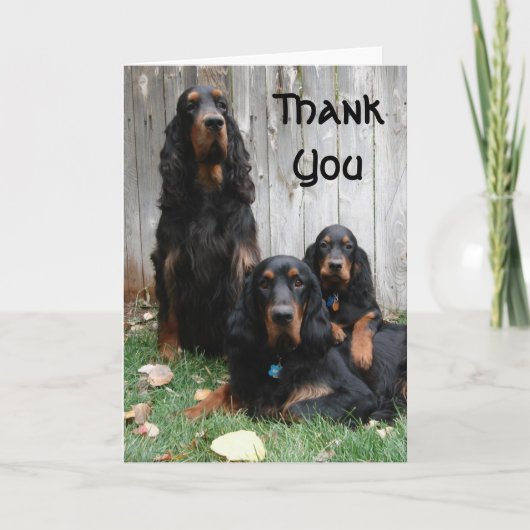 Gordon Setter Generations Dank je Kaart (Voorkant)
