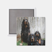 Gordon Setter Generations Magnet (Voorkant / Achterkant)