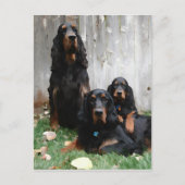 Gordon Setter Generations Painting Briefkaart (Voorkant)