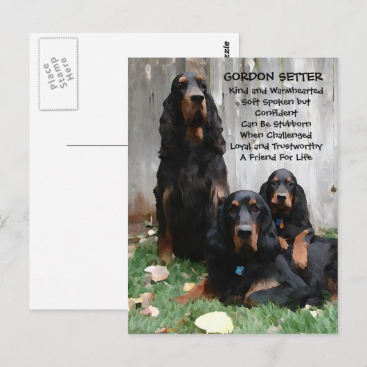 Gordon Setter Generations Painting Briefkaart (Voorkant / Achterkant)