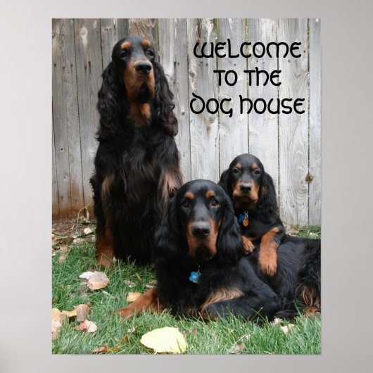 Gordon Setter Generations Poster (Voorkant)