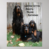 Gordon Setter Generations Poster (Voorkant)