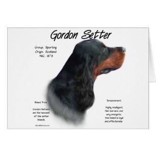 Gordon Setter Geschiedenis Ontwerp