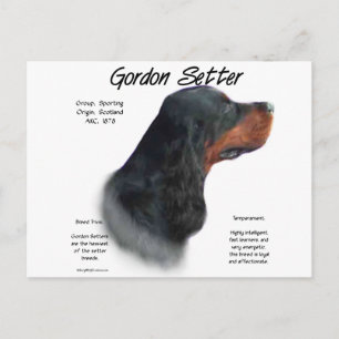 Gordon Setter Geschiedenis Ontwerp Briefkaart