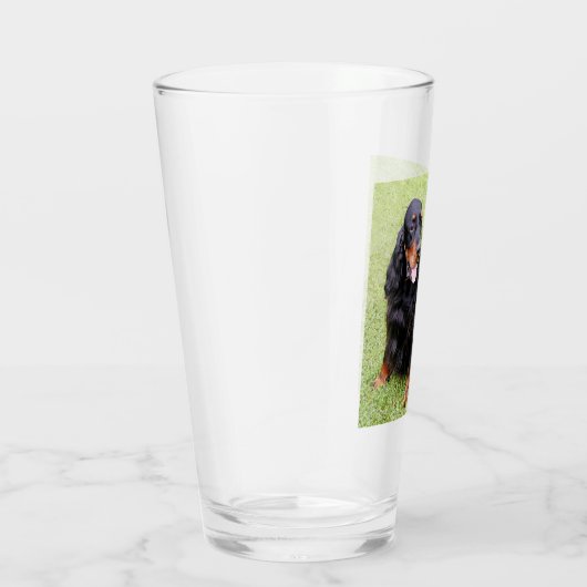 gordon setter glas (Rechts)