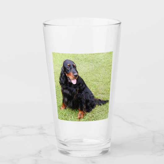 gordon setter glas (Voorkant)