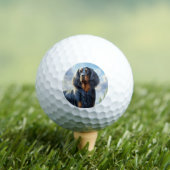 Gordon Setter Golfballen (Insitu Shirt)