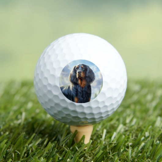 Gordon Setter Golfballen (Insitu Shirt)