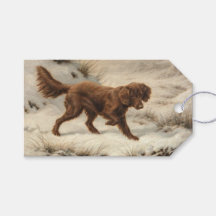 Gordon Setter-hond in een besneeuwd winterlandscha