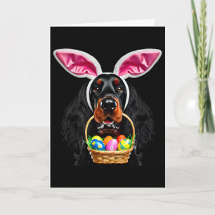 Gordon Setter hond met konijnenoren op jacht naar Kaart