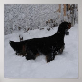 Gordon Setter in een Snowstorm Canvas Print (Voorkant)