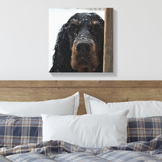 Gordon Setter in Winter Wrapped Canvas (Insitu (Slaapkamer))