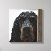 Gordon Setter in Winter Wrapped Canvas (Voorkant)