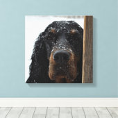 Gordon Setter in Winter Wrapped Canvas Afdruk (Insitu (Houten vloer))