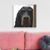 Gordon Setter in Winter Wrapped Canvas Afdruk (Insitu (Woonkamer))