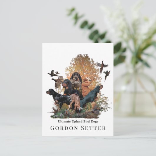 Gordon Setter, jachtseizoen Briefkaart (Staand voorkant)