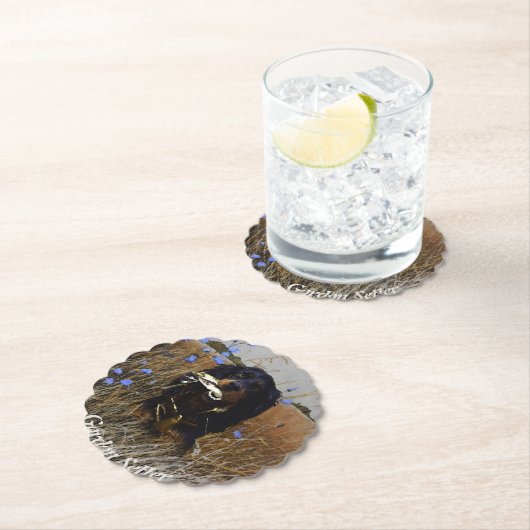 Gordon Setter Kartonnen Onderzetters (Insitu)