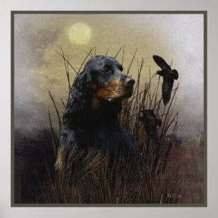Gordon Setter , maatje voor jagers Poster