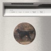 Gordon Setter Magnet (Insitu (Vaatwasser))