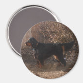Gordon Setter Magnet (Voorkant / Achterkant)
