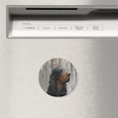 Gordon Setter Magnet (Insitu (Vaatwasser))