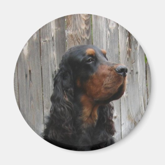 Gordon Setter Magnet (Voorkant)