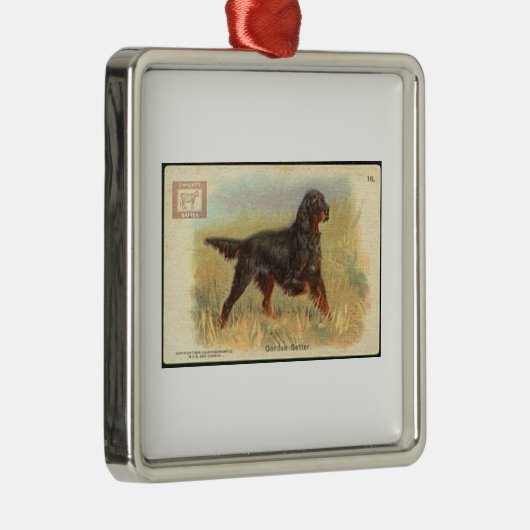  Gordon Setter Ornament (Rechts)