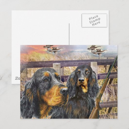 Gordon Setter over een stuntcadeau Briefkaart (Voorkant / Achterkant)