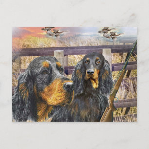 Gordon Setter over een stuntcadeau Briefkaart