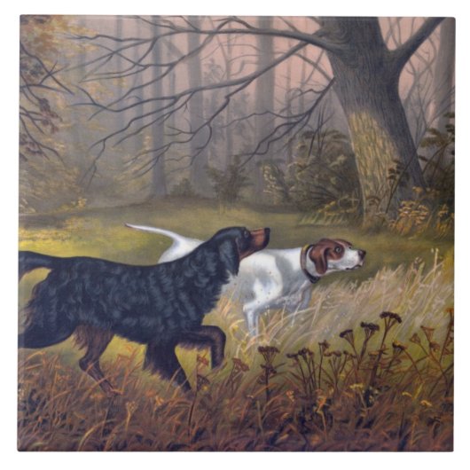 Gordon Setter over Point Tegeltje (Voorkant)