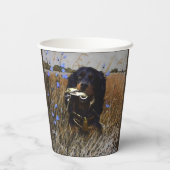 Gordon Setter  Papieren Bekers (Achterkant)