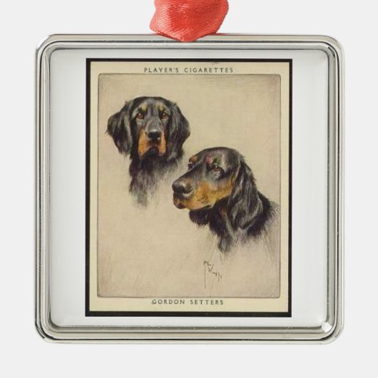 Gordon Setter Player Cigarette Kaart Ornament (Voorkant)