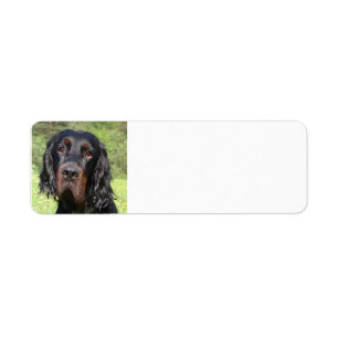 gordon setter.png etiket