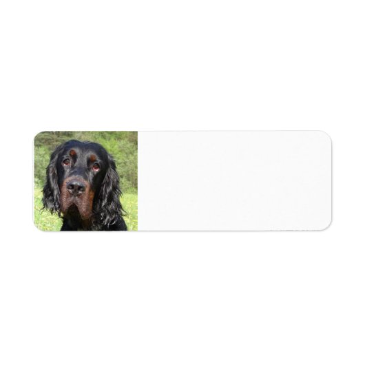 gordon setter.png etiket (Voorkant)