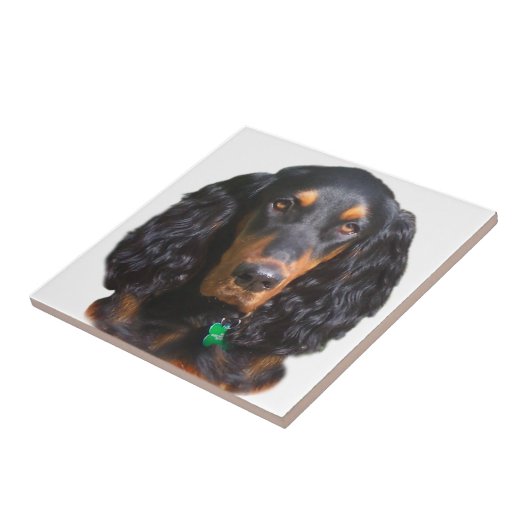 Gordon Setter Portrait Tegeltje (Zijkant)