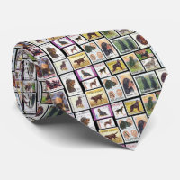 Gordon Setter Postage Stamps Mannen Stropdas
