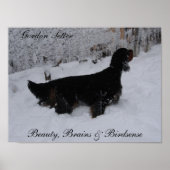 Gordon Setter Poster (Voorkant)